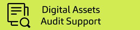 Digital Services_Digital Assets Audit Support